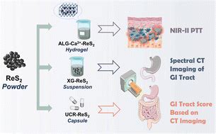  Rhenium Disulfide, Revolutionary Material for Flexible Electronics and High-Performance Energy Storage!