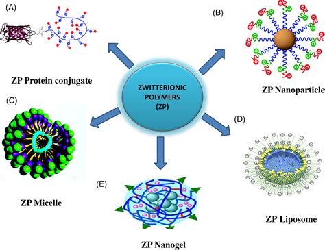  Zwitterionic Polymer: 고성능 촉매 및 생체 적합성 소재로서의 가능성을 탐구하다!